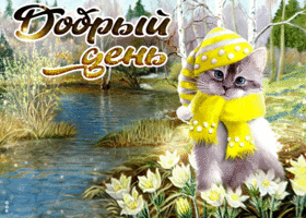 Движущаяся открытка добрый день с котом