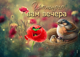 Эффектная открытка с птичкой и птенцами Уютного вам вечера
