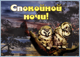 Эффектная открытка с совами Спокойной ночи