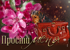 Элегантная живая открытка Прости меня