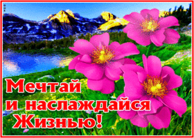 Фантастическая открытка Мечтай и наслаждайся жизнью