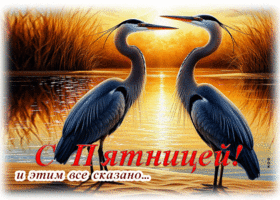 Гиф-открытка С пятницей! И этим все сказано