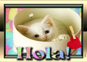 Hola