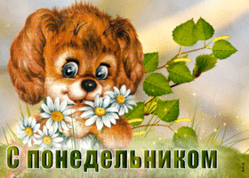 Идеальная открытка с песиком С понедельником