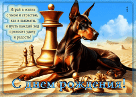 Играй в жизнь с умом и страстью! С днем рождения