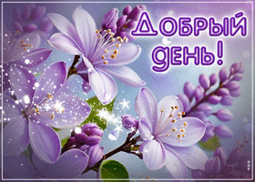 Игривая открытка Добрый день