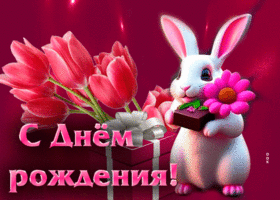 Игривая и разноцветная гиф-открытка с зайчиком С Днем Рождения