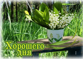 Искренная и лёгкая весенняя гиф-открытка Хорошего дня