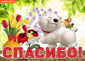 Искренне благодарю