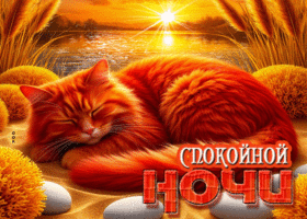 Искренняя летняя гиф-открытка Спокойной ночи