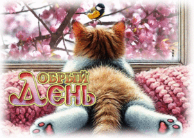 Искренняя весенняя гиф-открытка Добрый день