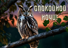 Искрящаяся и жизнерадостная гиф-открытка Спокойной ночи