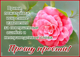 Изумительная открытка Прошу прости! С цветочком