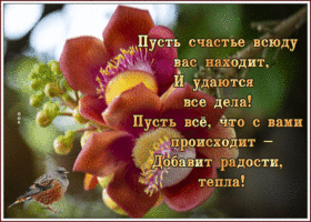 Изумительная открытка с пожеланиями