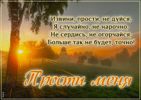 Извини, прости, не дуйся, я случайно, не нарочно