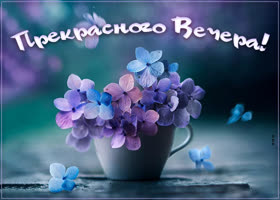 Изящная картинка прекрасного вечера