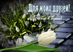 Изысканная открытка Весны в душе! Для моих друзей!