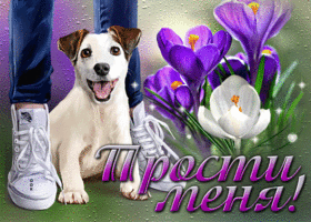 Изысканная весенняя открытка Прости меня