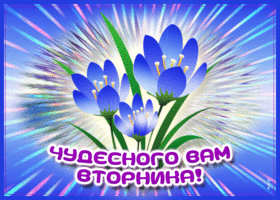 Картинка чудесного вам вторника