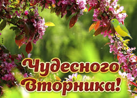 Картинка чудесного вторника с цветами