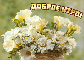 Картинка доброе утро с белыми цветами. Тепла и света в душе