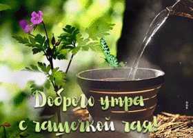 Картинка доброе утро с чашечкой чая