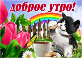 Картинка доброе утро с котенком. Красивых событий
