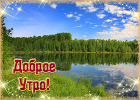 Картинка доброе утро с лесом. Радости и тепла
