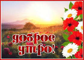 Картинка доброе утро с лучами солнца