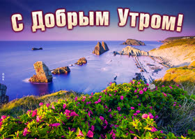 Картинка доброе утро с морем