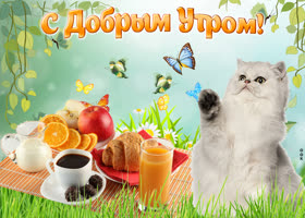 Картинка доброе утро с пикником. Радости и гармонии в душе