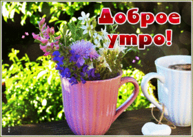 Картинка доброе утро с полевыми цветами