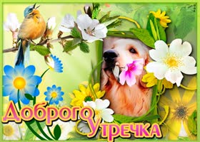 Картинка доброе утро с собачкой. Добрых событий рядом