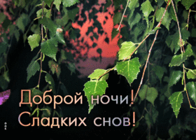 Картинка доброй ночи, сладких снов