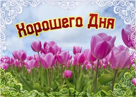 Картинка хорошего дня с тюльпанами