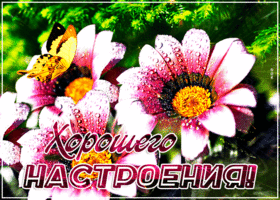 Картинка отличного настроения на весь день