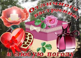 Картинка отличного настроения в любую погоду