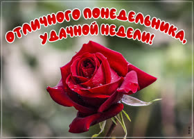 Картинка отличного понедельника и недели