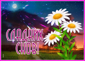 Картинка сладких снов