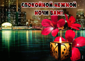 Картинка спокойной и нежной ночи