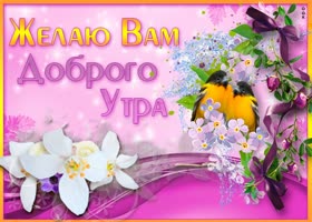 Картинка желаю вам доброго утра