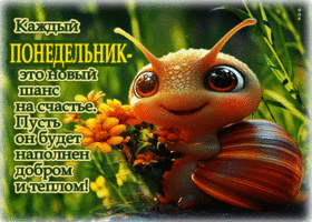 Каждый понедельник - это новый шанс на счастье