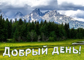 Хорошая картинка добрый день. Лёгкости и уюта