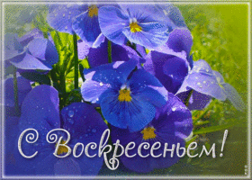 Хорошая, приятная открытка с воскресеньем