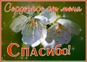 Хорошая открытка сердечное от меня спасибо