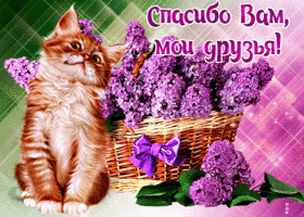 Хорошая открытка спасибо вам, мои друзья
