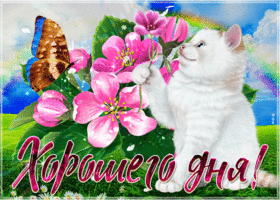 Хорошего дня и праздника в душе