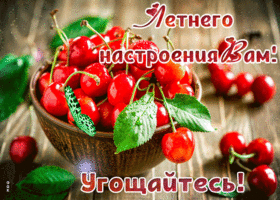 Хорошего и цветущего настроения