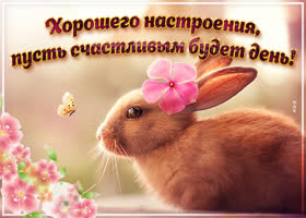 Хорошего и яркого настроения желаю
