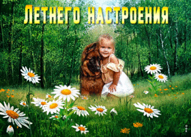 Миленькая открытка Хорошего летнего настроения